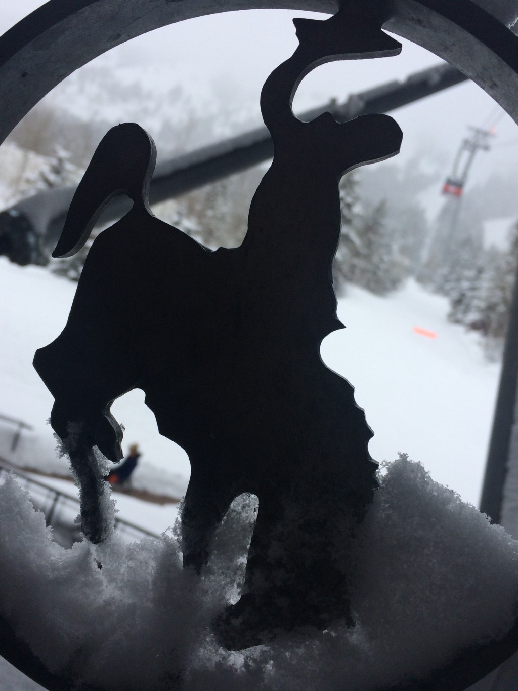 Stoke In Jackson&nbsp;Hole